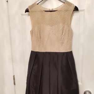 Adrianna Papell Gown